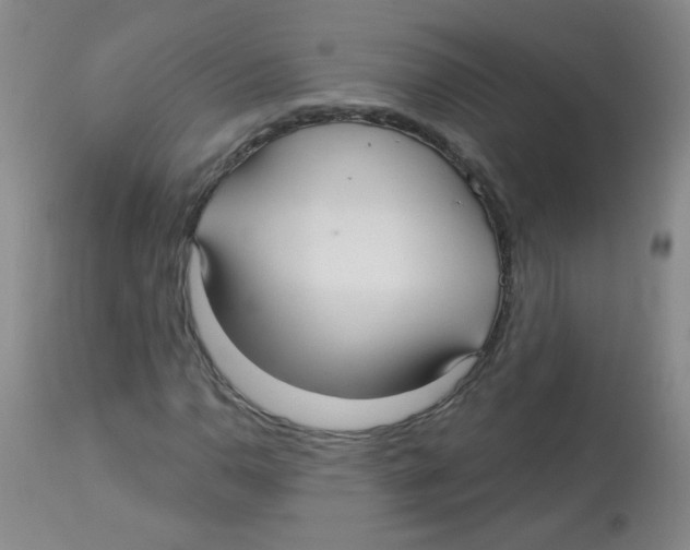 X0000113961110200910232023