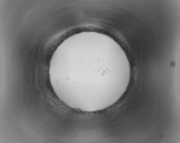 X0000113961111200910232023