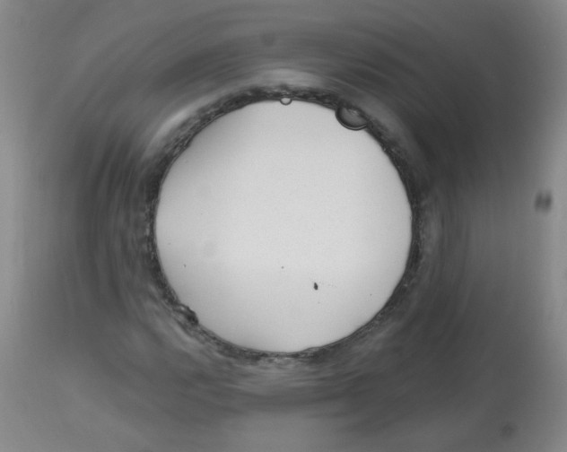 X0000113961112200910232023