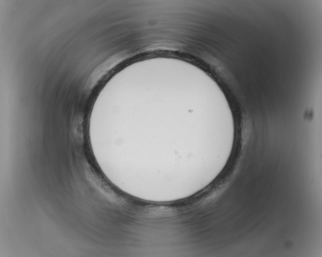 X0000113961113200910232023