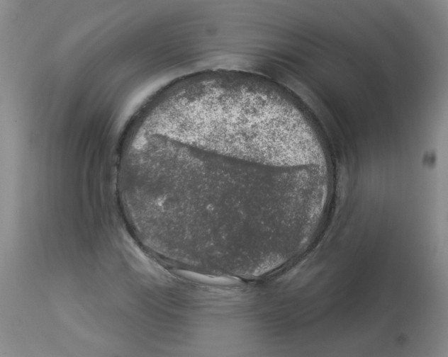 X0000113961115200910232023