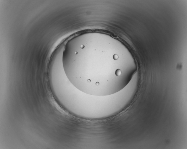 X0000113961116200910232023