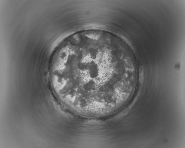 X0000113961117200910232023