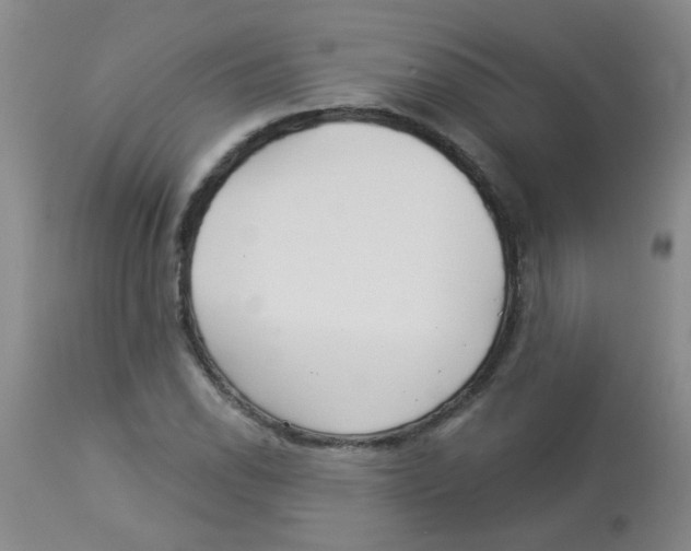 X0000113961118200910232023