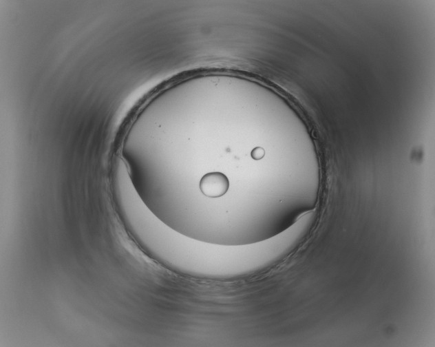 X0000113961120200910232023