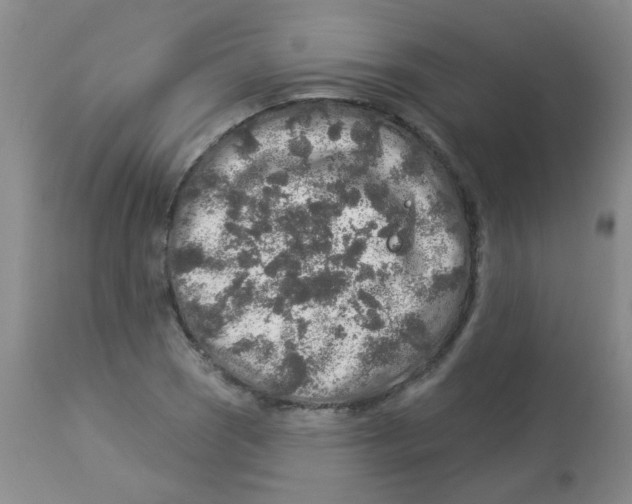 X0000113961121200910232023