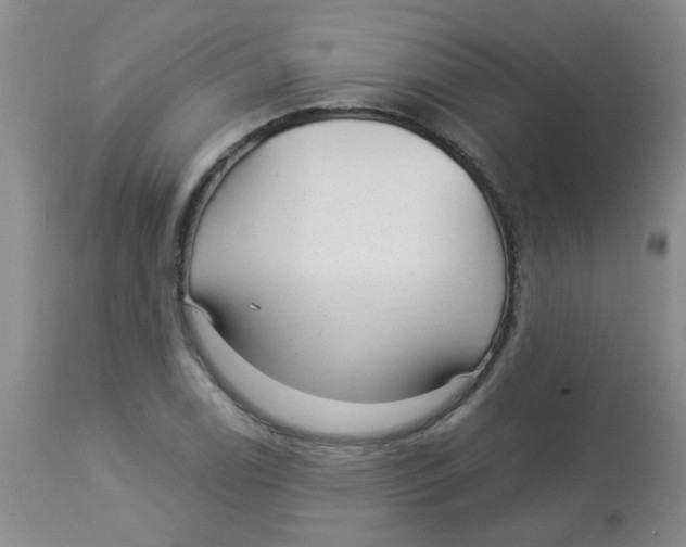 X0000113961122200910232023