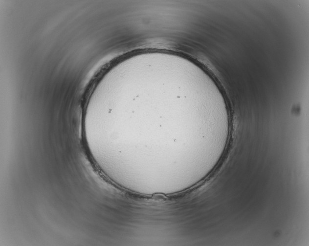 X0000113961123200910232023