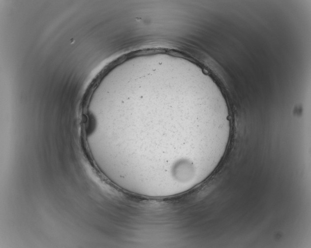 X0000113961124200910232023