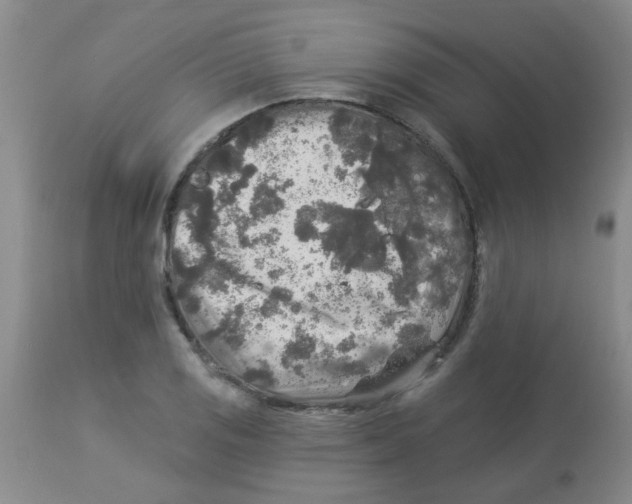 X0000113961125200910232023