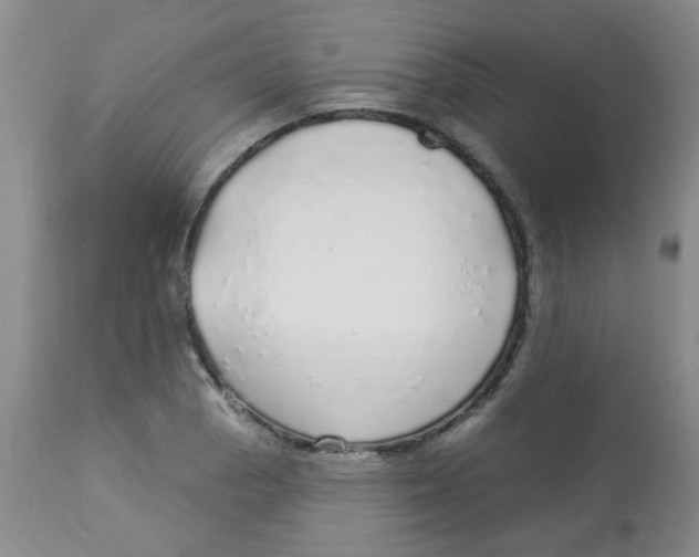 X0000113961129200910232023