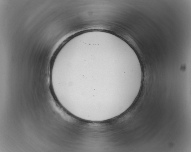 X0000113961132200910232023