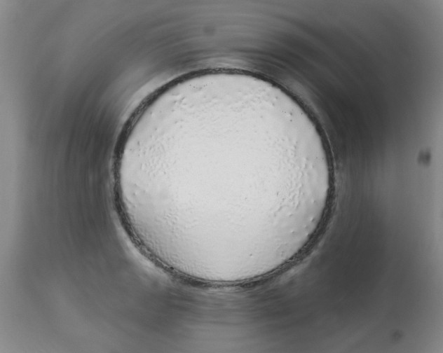 X0000113961133200910232023