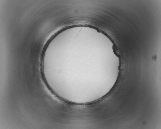 X0000113961134200910232023