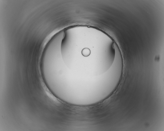 X0000113961136200910232023