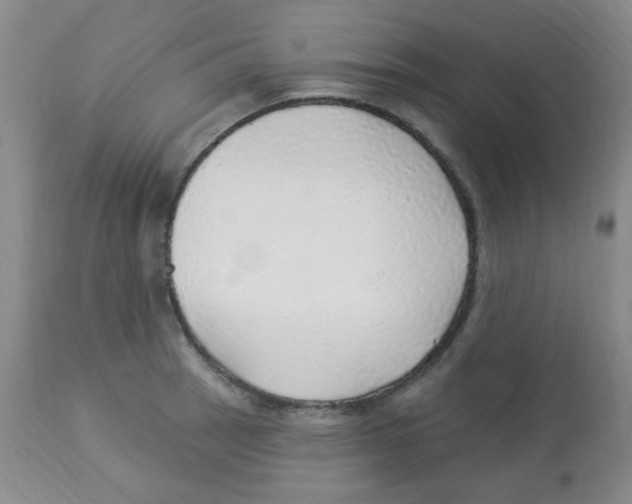 X0000113961137200910232023