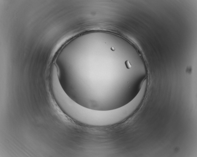 X0000113961138200910232023