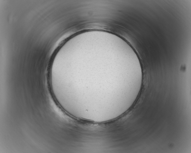 X0000113961139200910232023