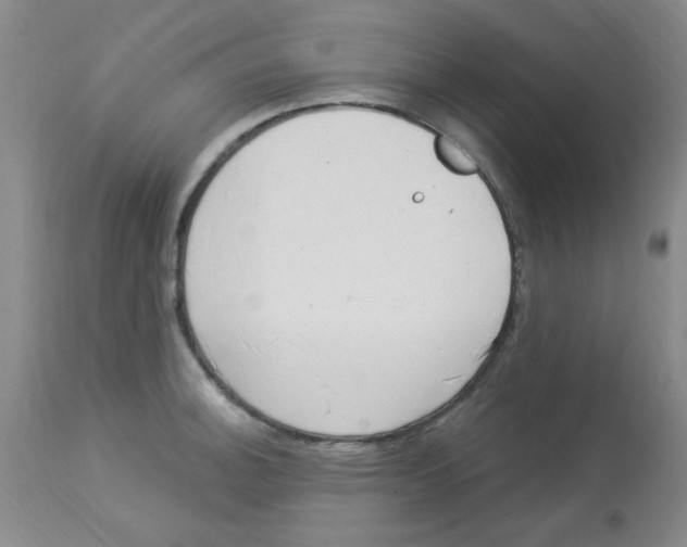 X0000113961140200910232023