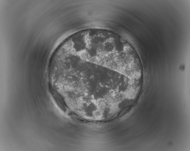 X0000113961141200910232023