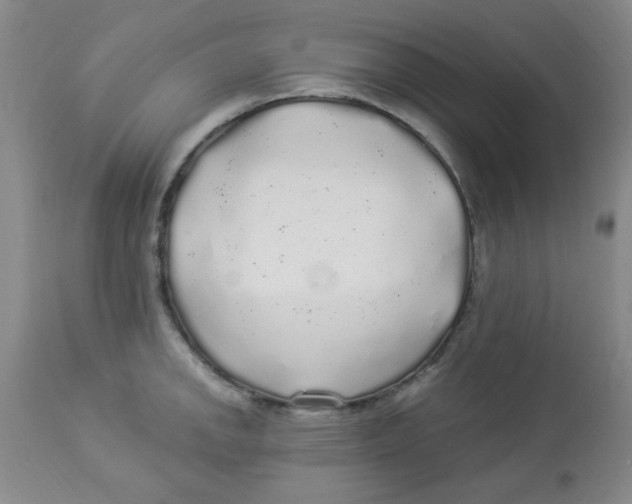 X0000113961142200910232023