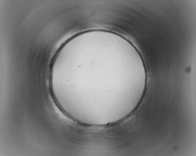 X0000113961143200910232023