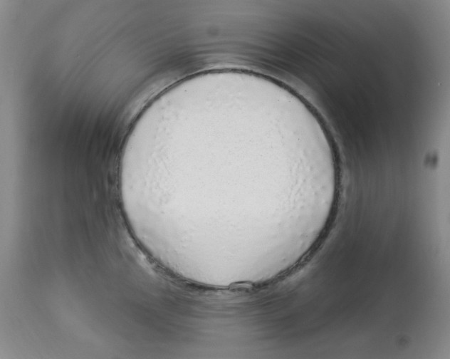 X0000113961145200910232023