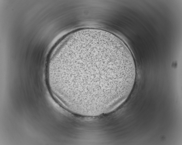 X0000113961147200910232023