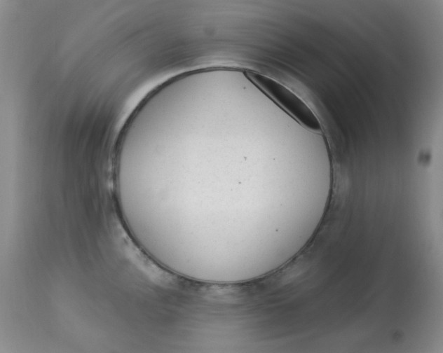 X0000113961148200910232023