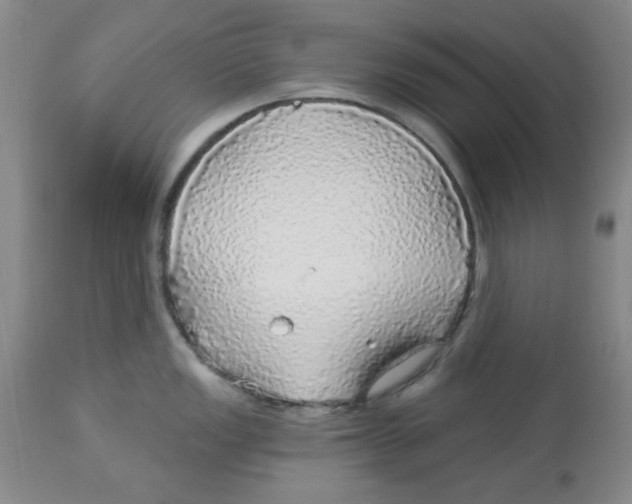 X0000113961149200910232023