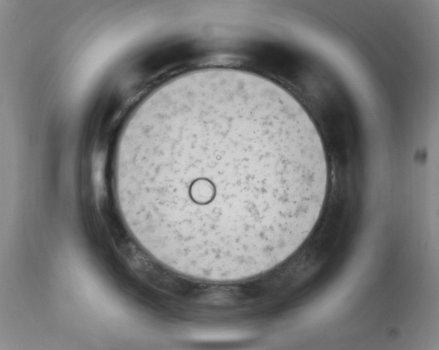 X0000113961150200910232023