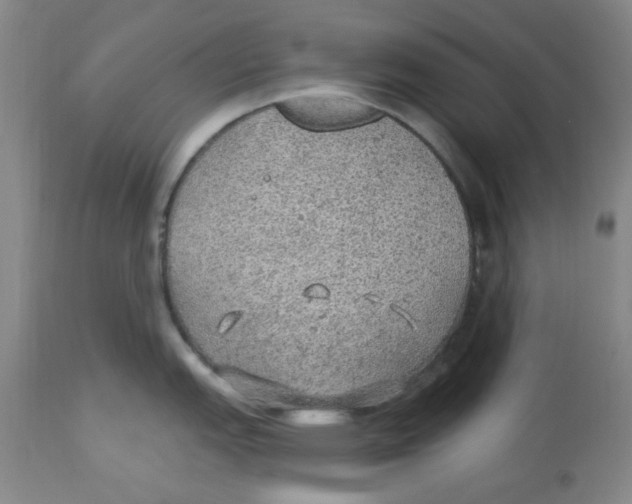 X0000113961151200910232023