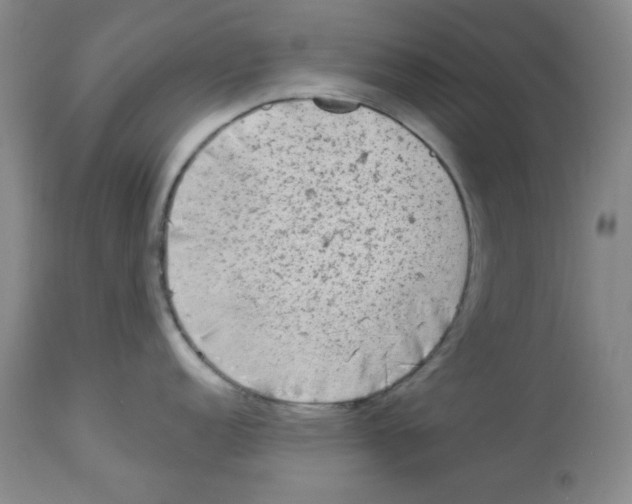 X0000113961152200910232023