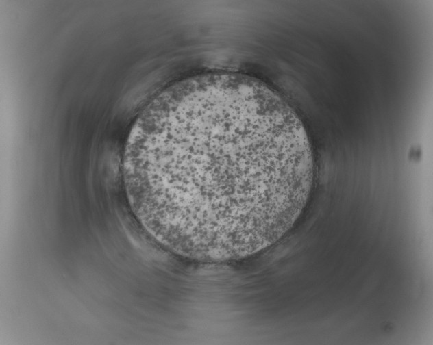 X0000113961154200910232022