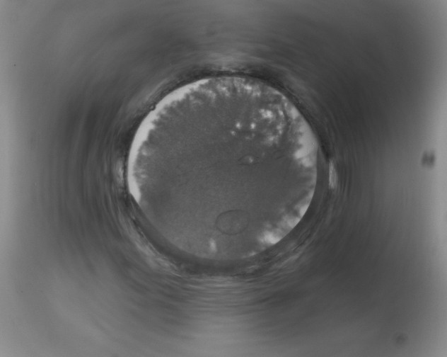 X0000113961155200910232022