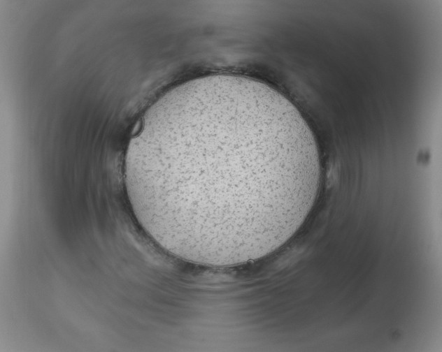 X0000113961156200910232022