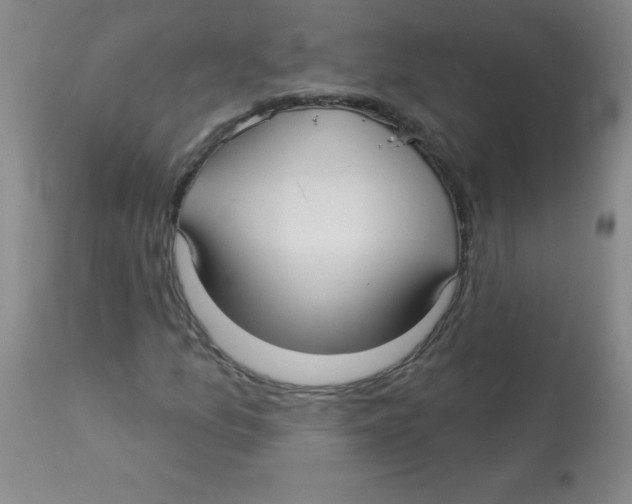 X0000113961157200910232022