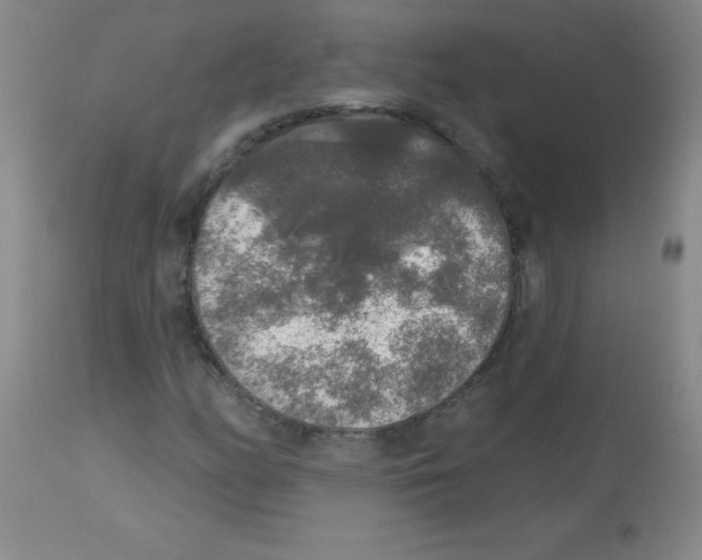 X0000113961158200910232022