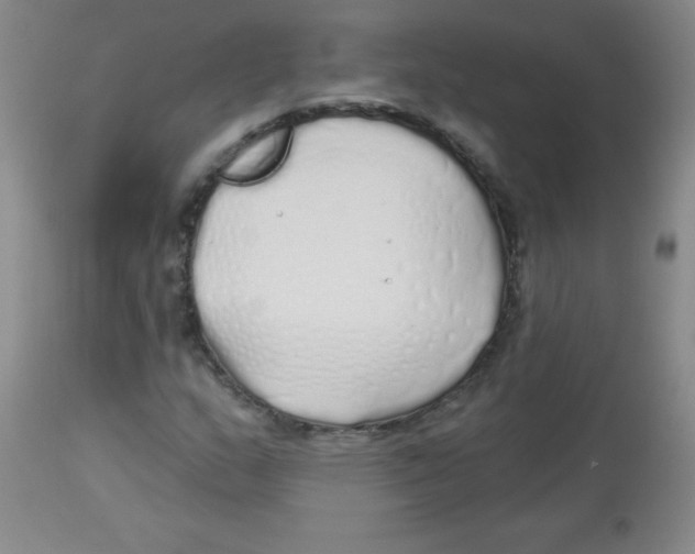 X0000113961159200910232022