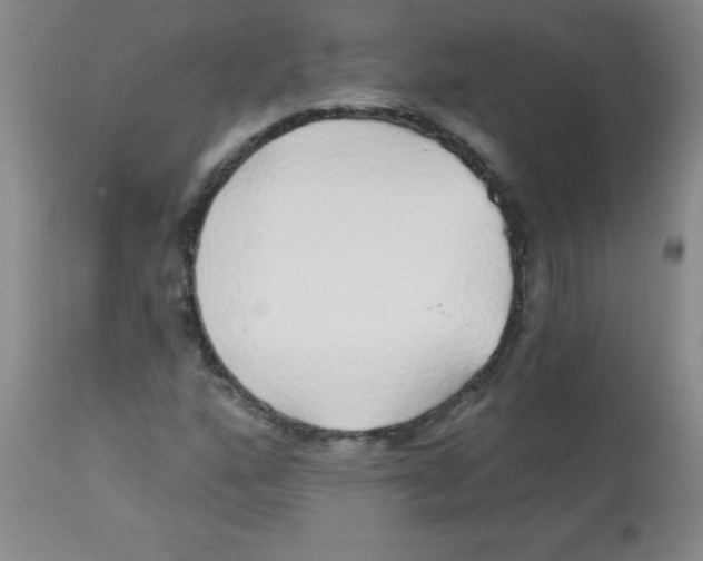 X0000113961160200910232022