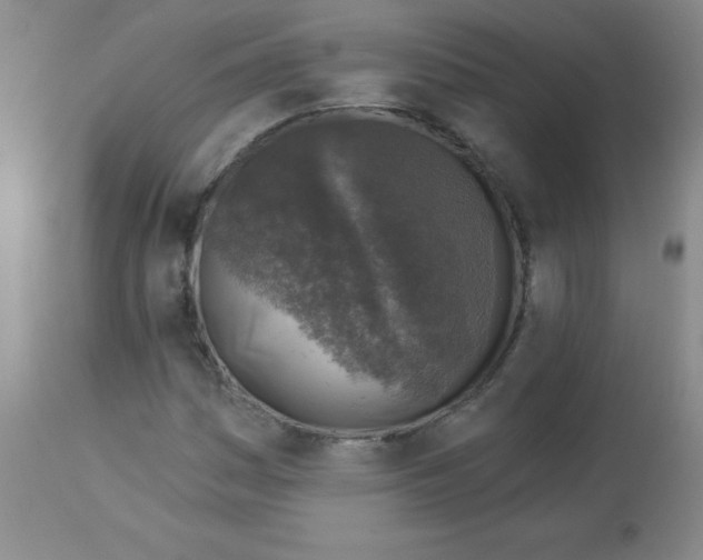 X0000113961161200910232022