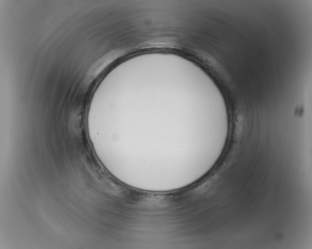 X0000113961162200910232022