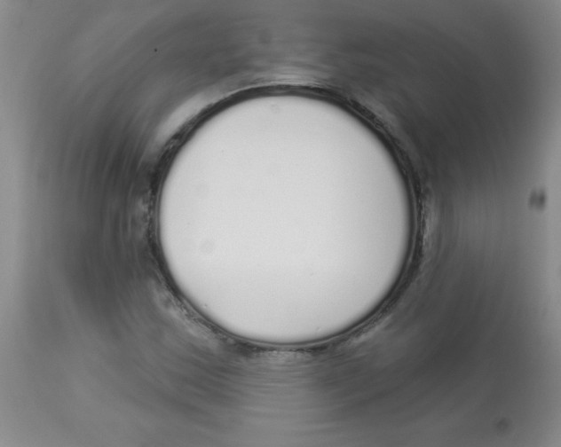 X0000113961163200910232022