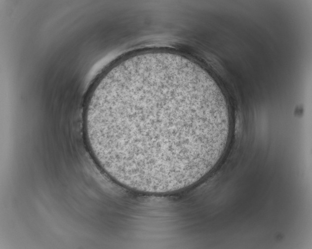 X0000113961164200910232022