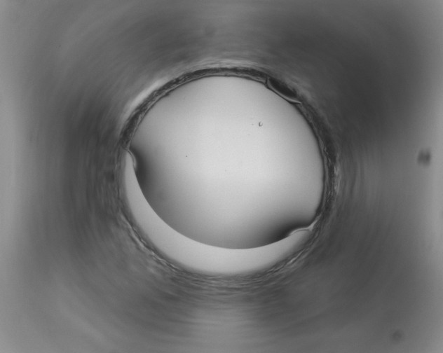 X0000113961165200910232022