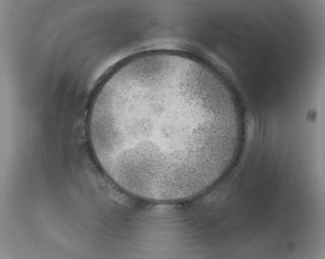 X0000113961166200910232022