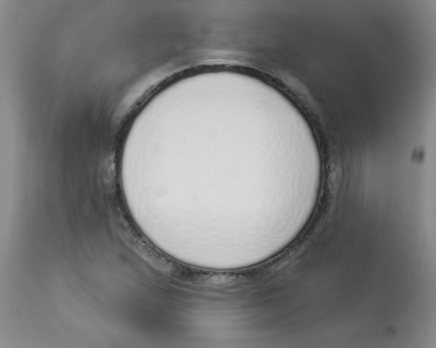 X0000113961167200910232022