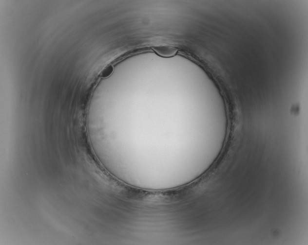 X0000113961169200910232022