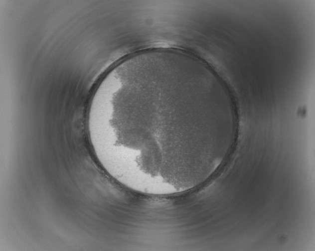 X0000113961170200910232022