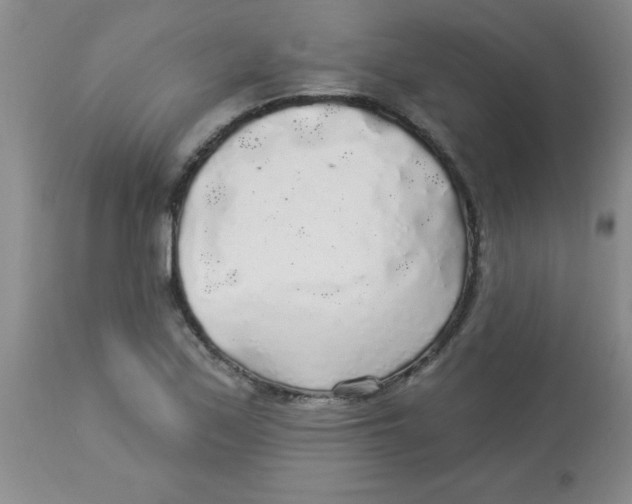 X0000113961171200910232022